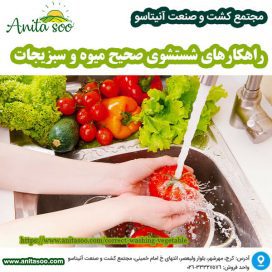 correct-washing-vegetables-1-272x272
