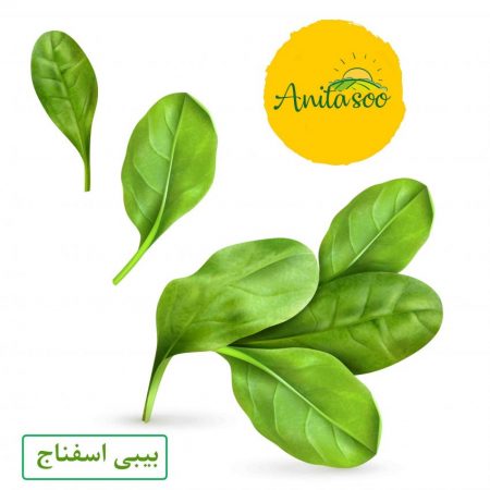 قیمت بیبی اسفناج
