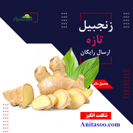 خرید زنجبیل