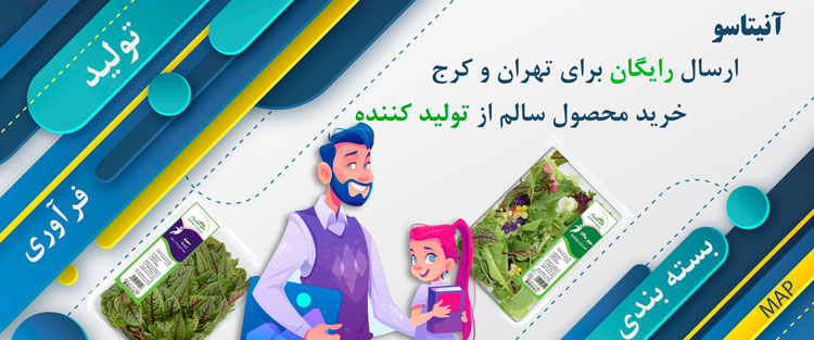 خرید سبزی و میوه آنیتاسو