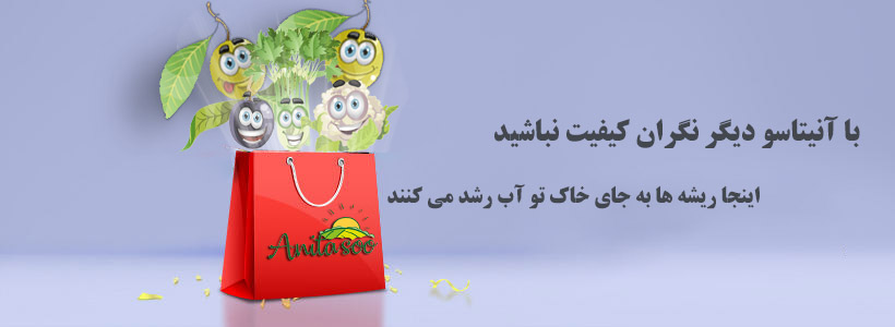 خرید سبزی